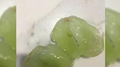 Oh Here We Go, A Melb Woman Claims She Found A Needle In A Grape Over The Weekend