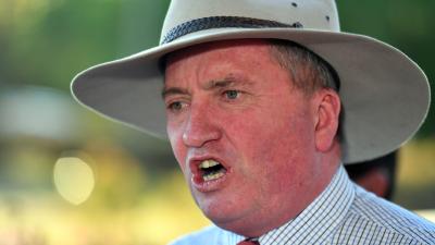 Barnaby Joyce Slammed For Claiming Bushfire Victims Were “Most Likely” Greens Voters