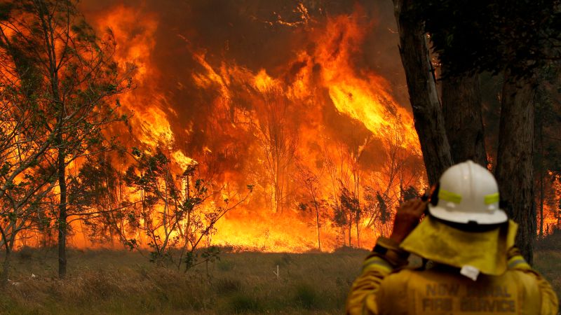 Here’s What A Fire Danger Rating Of ‘Catastrophic’ Actually Means