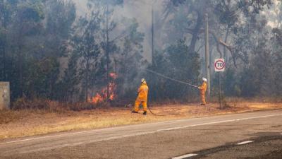A State Of Fire Emergency Has Been Declared In 42 Local QLD Government Areas