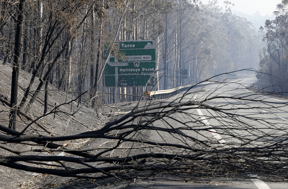 Bushfires, NSW