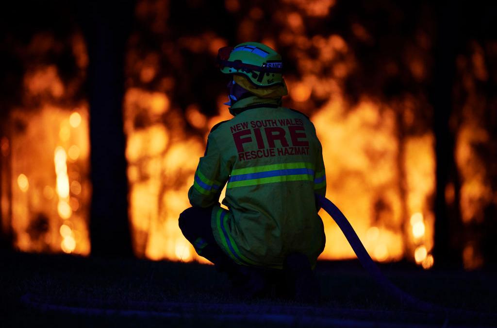 man starts bushfire to protect weed crop