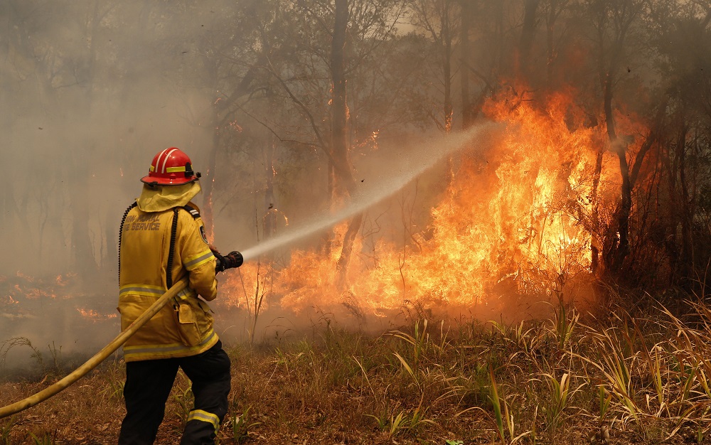 NSW, Bushfires