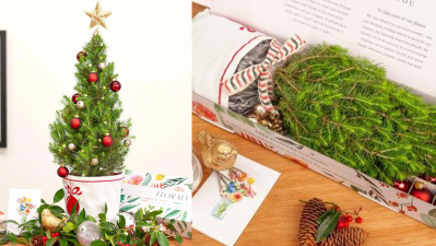 These Tiny Home-Delivered Christmas Trees Are Guaranteed To Warm Your Cold, Grinchy Heart