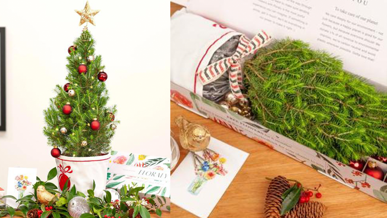 These Tiny Home-Delivered Christmas Trees Are Guaranteed To Warm Your Cold, Grinchy Heart