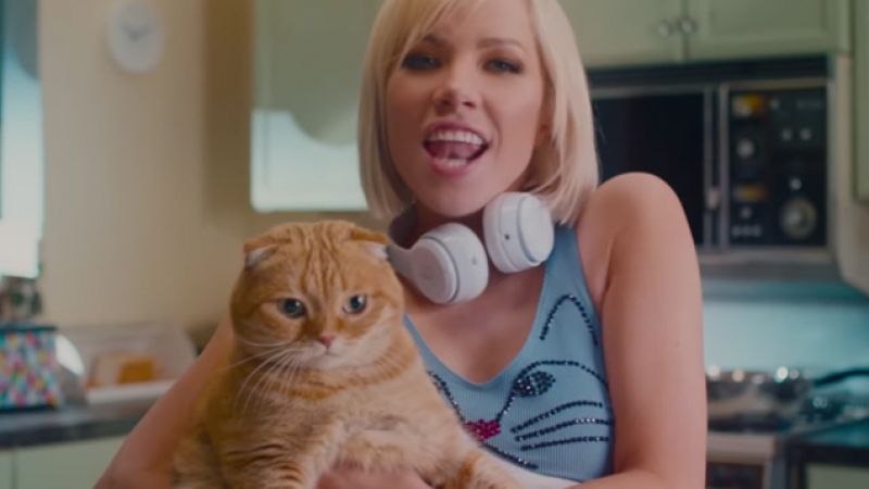 We Interviewed Carly Rae Jepsen & All We Talked About Was Cats