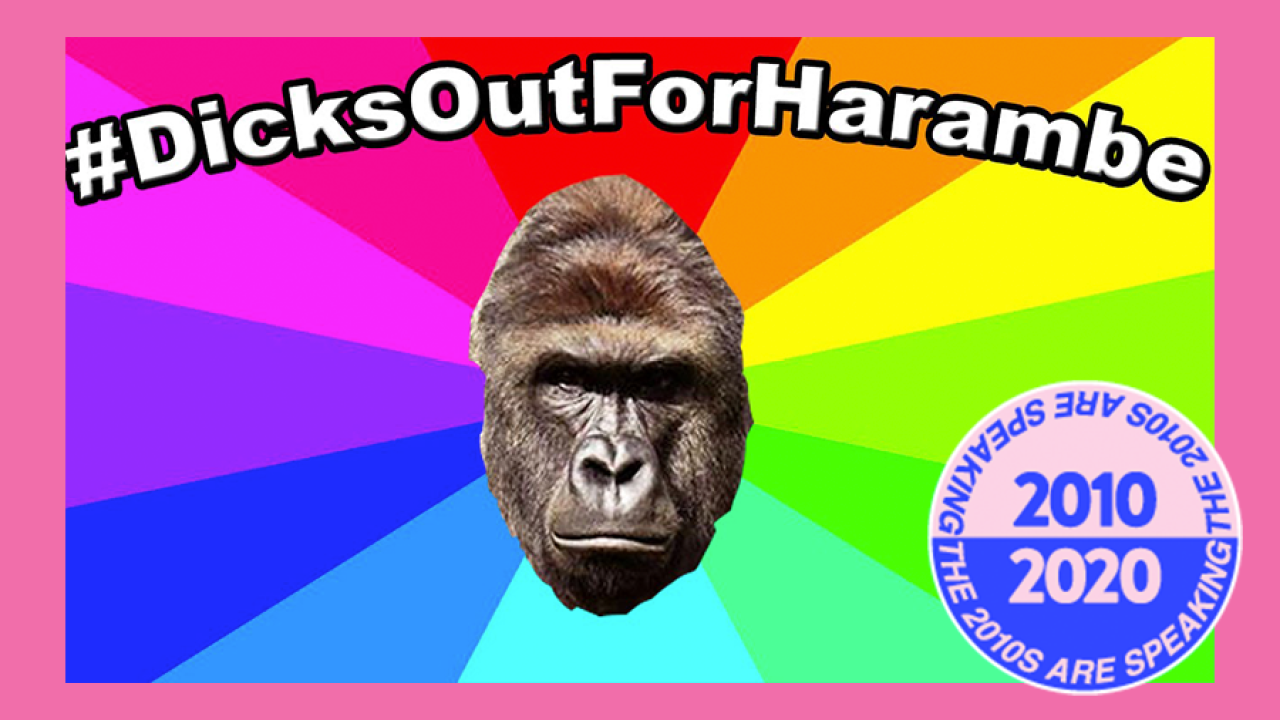 Hey, Remember When We Were Encouraged To Get Our Dicks Out For Harambe