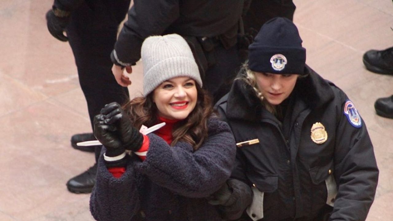 Casey Wilson Of ‘Happy Endings’ Was Arrested At The D.C. Climate Protests