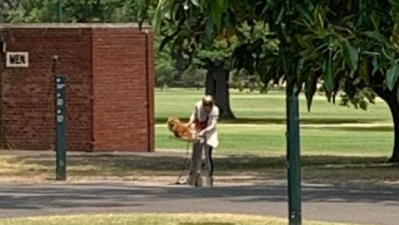 Viral Footage Shows Melbourne Woman Using A Park Bubbler To Clean Her Dog’s Ass & Fucking Ew