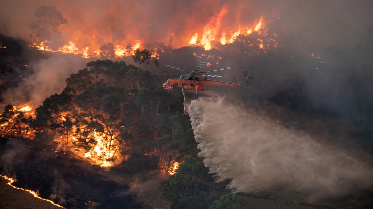Bushfires Vic / East Gippsland bushfires