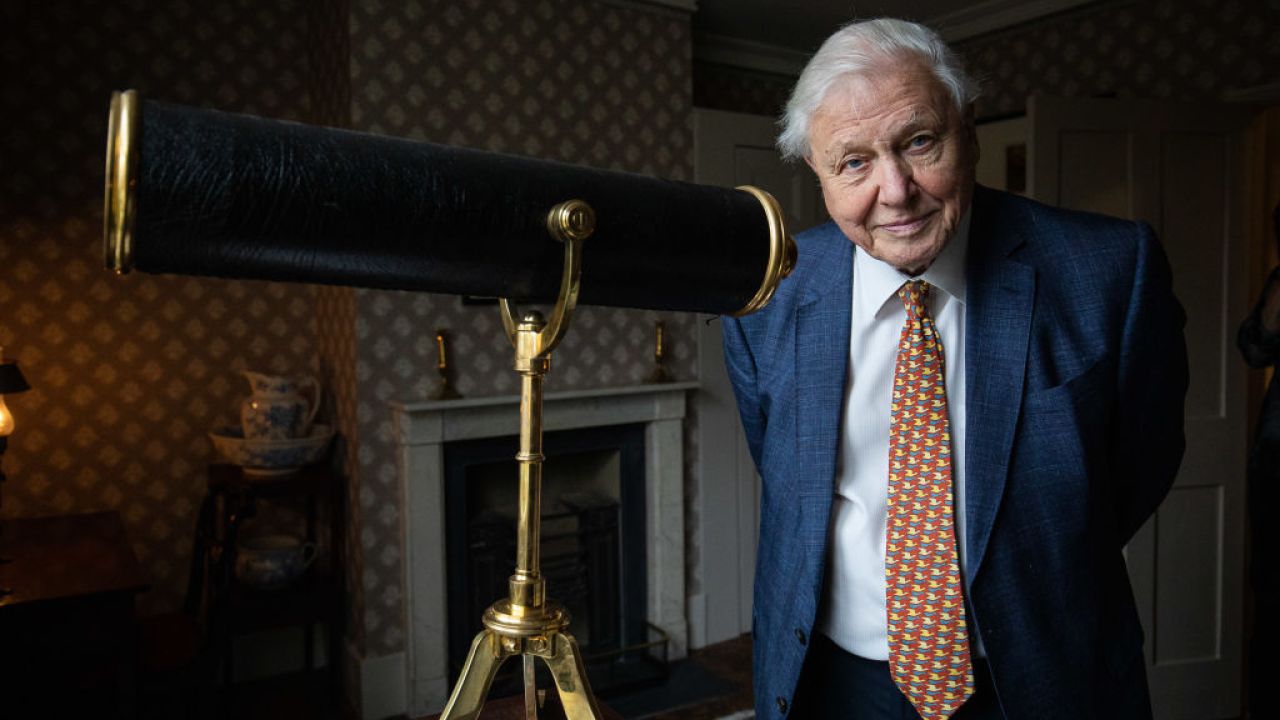 David Attenborough Says “Human Beings Have Overrun The World” In Trailer For New Doco
