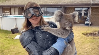 Scottish Journo Told She Needs Protective Gear To Hold ‘Vicious’ Drop Bear In Classic Stitch Up