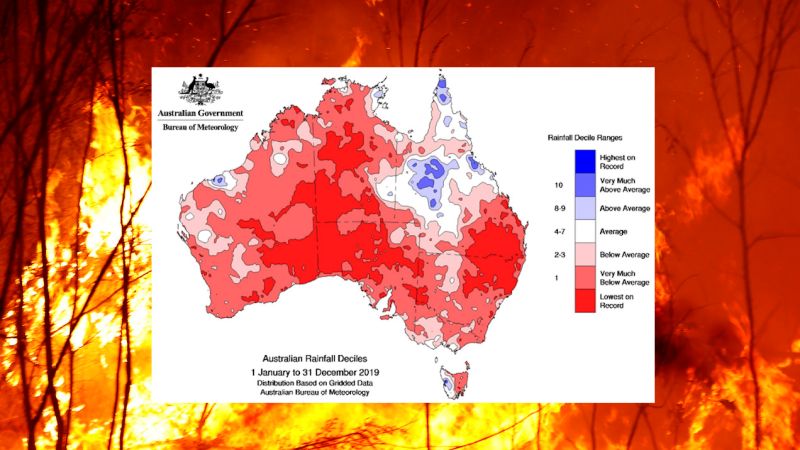The BoM’s 2019 Climate Report Proves We Need Drastic Changes Right Bloody Now