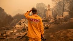 If You’re Feeling Helpless, Here’s 11 Ways You Can Help Those Affected By The Bushfires
