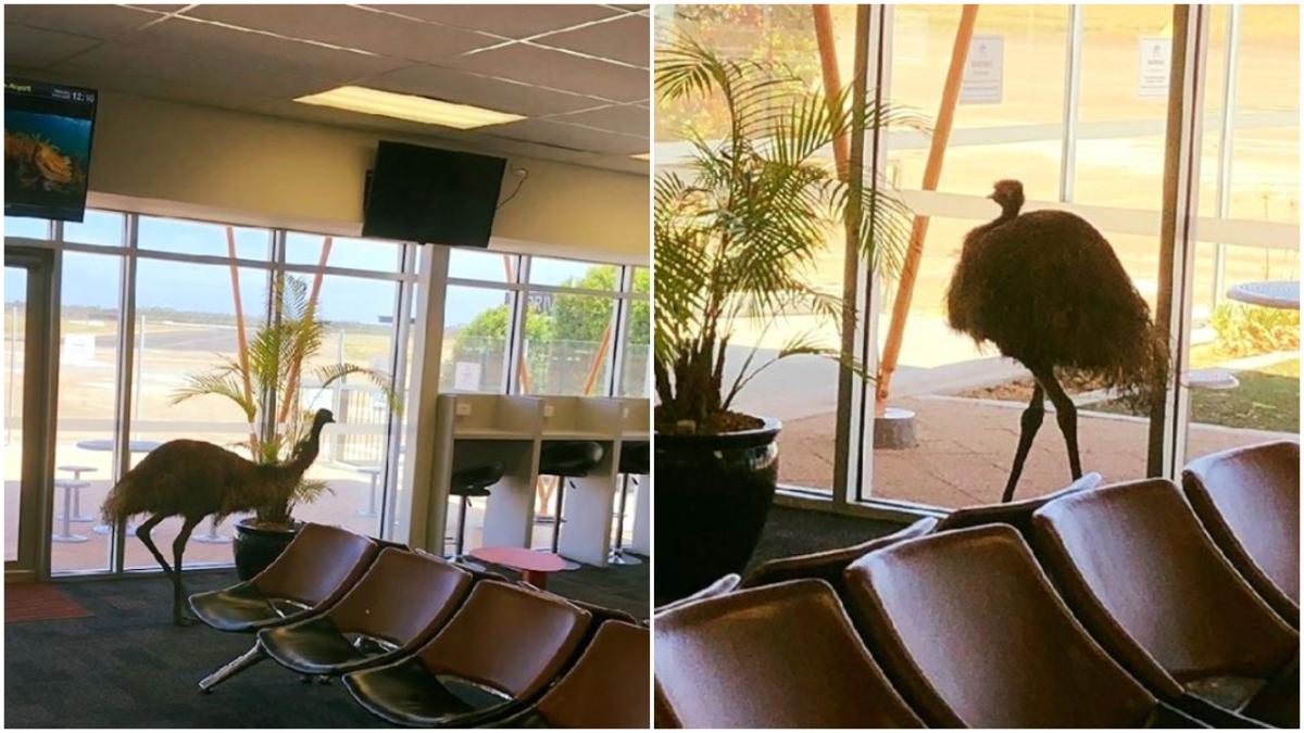 emu airport