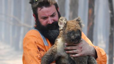 5 Other Ways To Help During The Bushfires If You’ve Already Donated Or Can’t Afford To