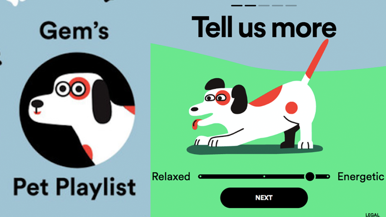 Spotify Has Made A Playlist Based On Yr Pet’s Personality, ‘Cause They Deserve A Boogie Too