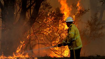 GOOD NEWS: Every Bushfire In NSW Is Now Contained After Horrific Fire Season