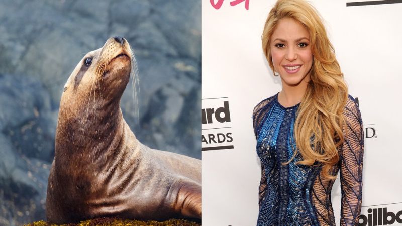Join Us As We Look Back On The Weirdest, Wildest Celebrity Animal Attacks Of Our Time