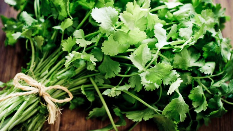 It’s National ‘I Hate Coriander Day’ For All Your Friends That Fucking Hate The Good Herb