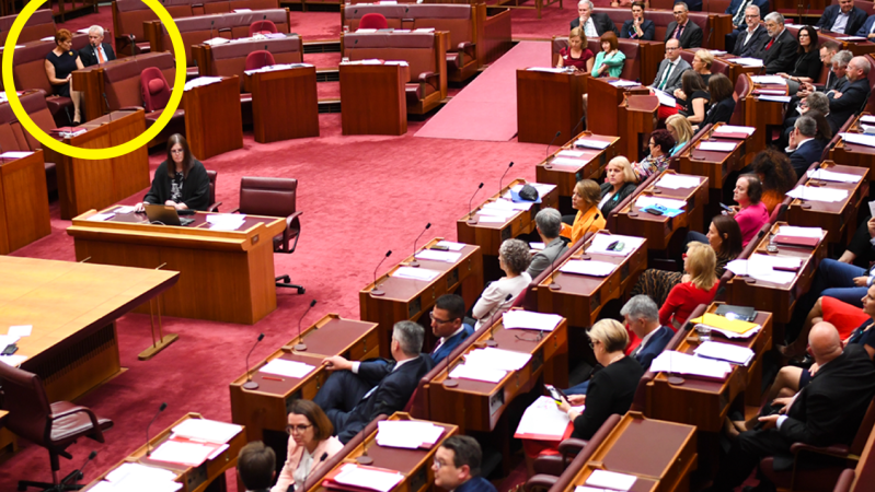 The Senate (Except One Nation) Just Dunked On Bettina Arndt For Her “Abhorrent” Comments