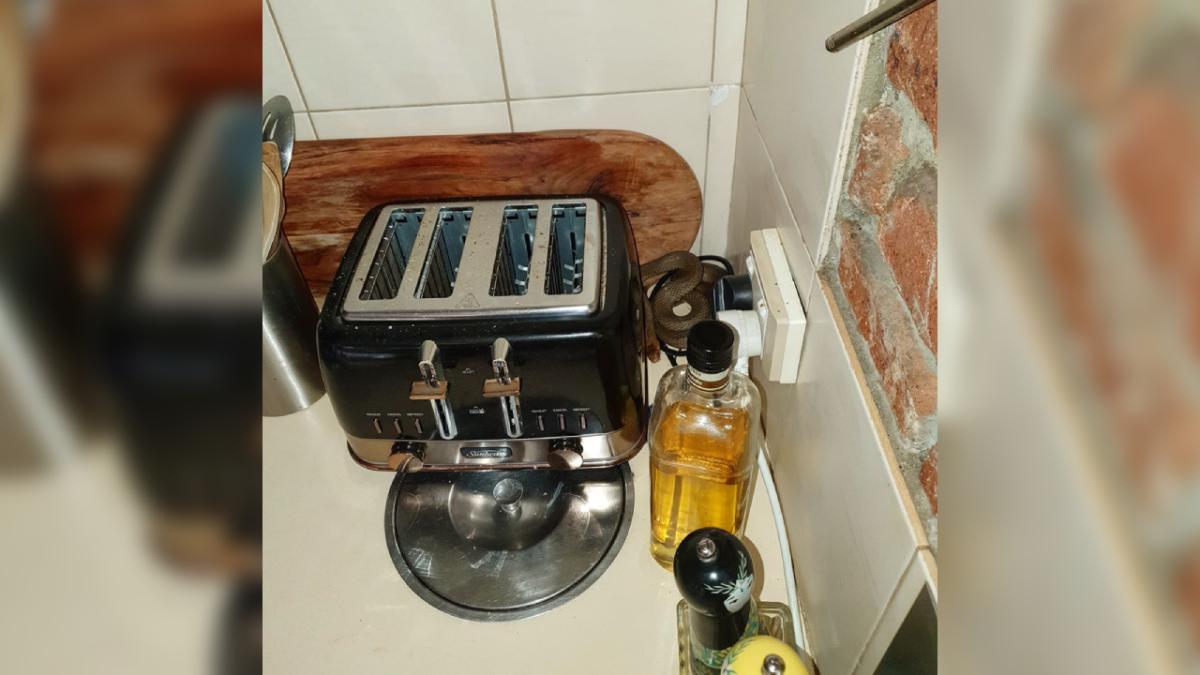 snake toaster