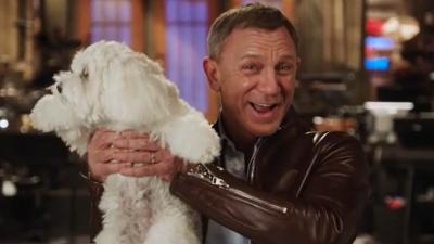 Here’s A Video Of Daniel Craig Playing With A Puppy To Make Everything Better
