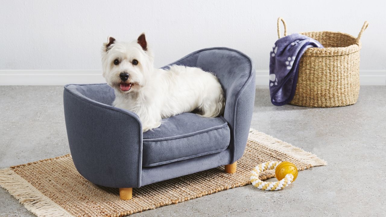 Aldi Is Releasing Tiny Sofas For Your Dogs This Month, Which I Will 14/10 Try & Sit In