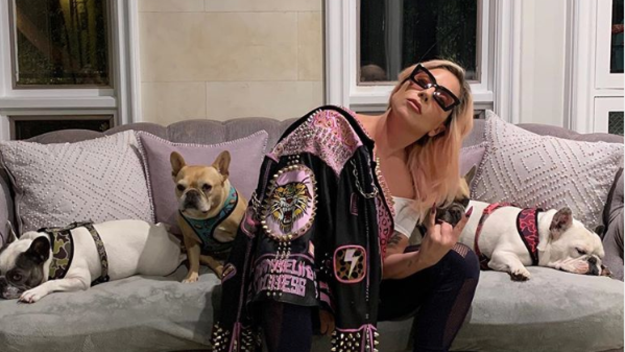 My Queen Lady Gaga Posts Quarantine Pic With Her Dogs To Remind Us We’re All “Gonna Be Ok”