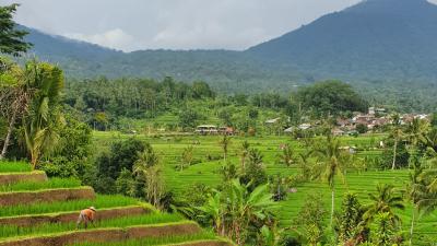 Where To Travel Through Bali If You Want All Of The Beauty And None Of The Gronks