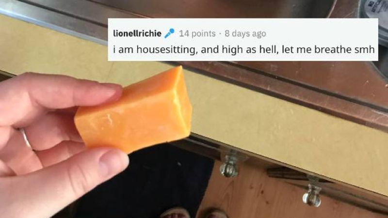 Spare A Thought For This Gal Who Thought A Chunk Of Cheese Was Soap For At Least A Week