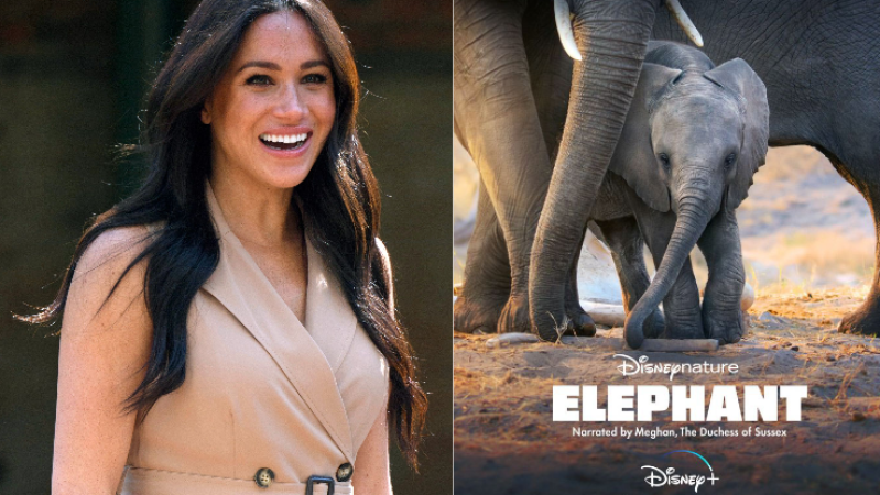 Meghan Markle To Narrate Disney’s New Nature Doco In 1st Gig Since Ditching Royal Life