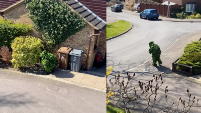 TikToker’s Valiant Attempt To Leave The House Disguised As A Bush Goes Viral