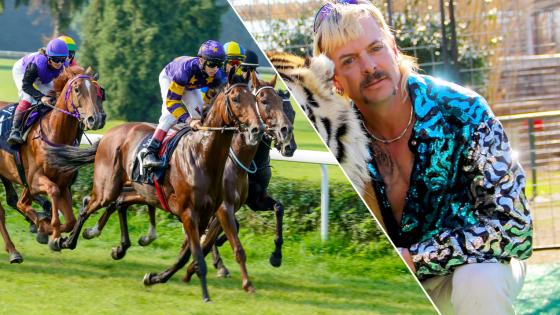 A Racehorse Owner Wasn’t Allowed To Name His Horse Joe Exotic ‘Cos He’s Not “A Nice Person”