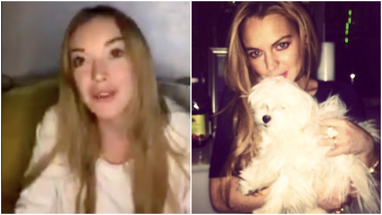 R.I.P Gucci Lohan, Lindsay’s Dog Who Definitely Didn’t Live To Be Fkn 27-Years-Old