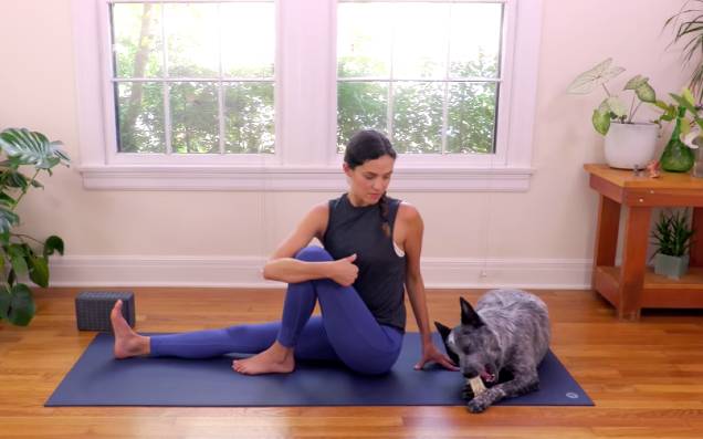A Loving Ode To 'Yoga With Adriene' & Most Especially To Benji The Dog