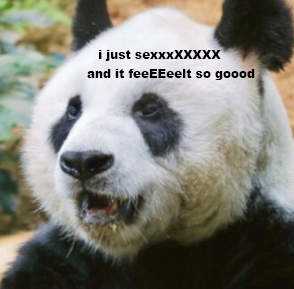 The World Is Applauding These Pandas Who Finally Got Their Fucc On After 10 Dry, Dry Years