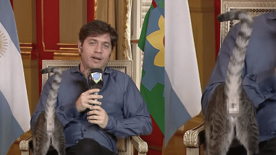 Buenos Aires Governor’s Cat Unapologetically Flashes Anoos During Live Telly Interview