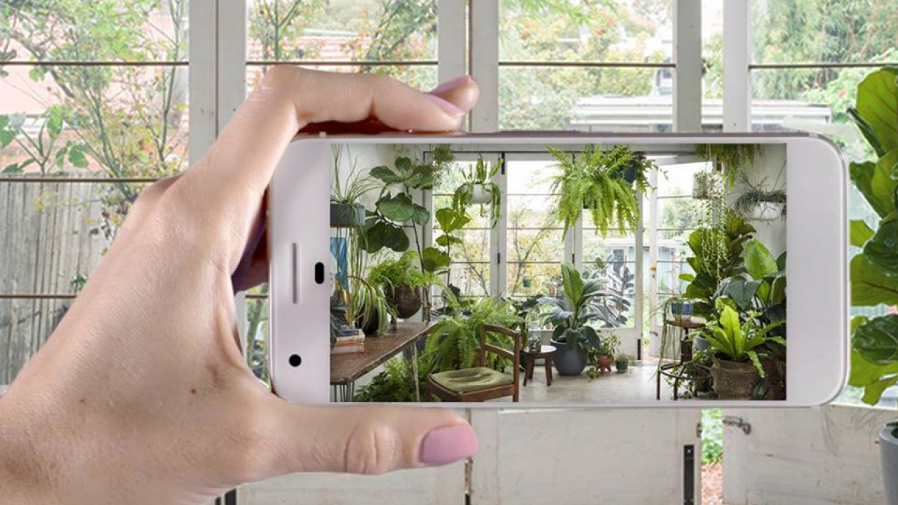 This App Lets You Pimp Your Place With Virtual Plants If You’re The Type To Kill Real Ones