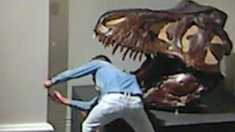 Man Allegedly Sticks Head In Dinosaur Mouth During IRL ‘Night At The Museum’ In NSW