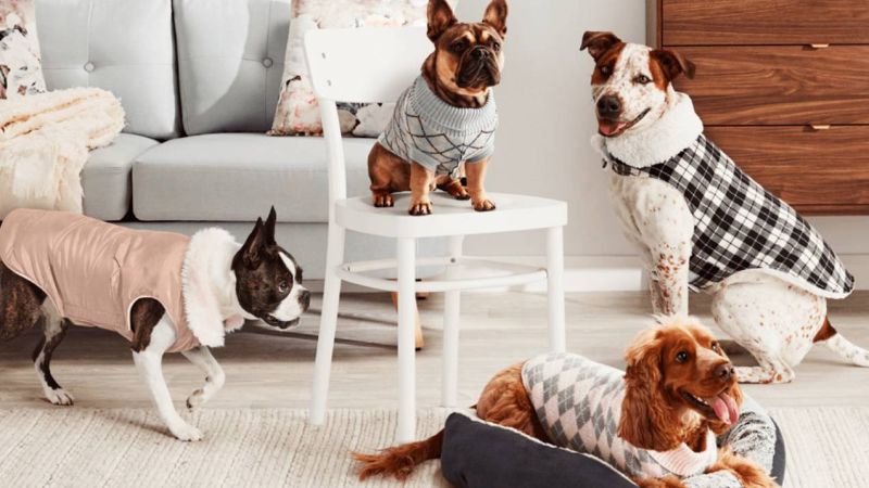 You Can Now Matchy-Match With Your Pooch On W-A-L-K-I-E-S With These Pet Jackets From Big W