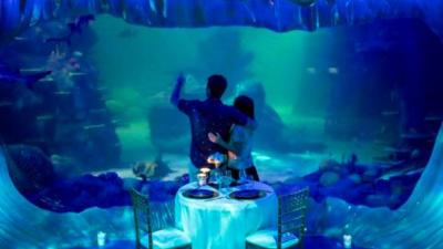 You Can Book Out The Entire Sydney Aquarium For A 10-Person Fancy Dinner So Why The Fuck Not