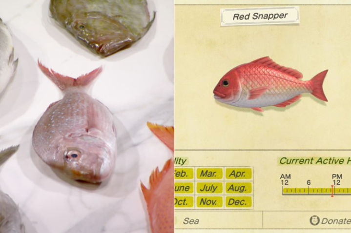 I Only Recognised The Fish In Last Night’s ‘MasterChef’ Ep ‘Cos ‘Animal Crossing’ Is Life Now
