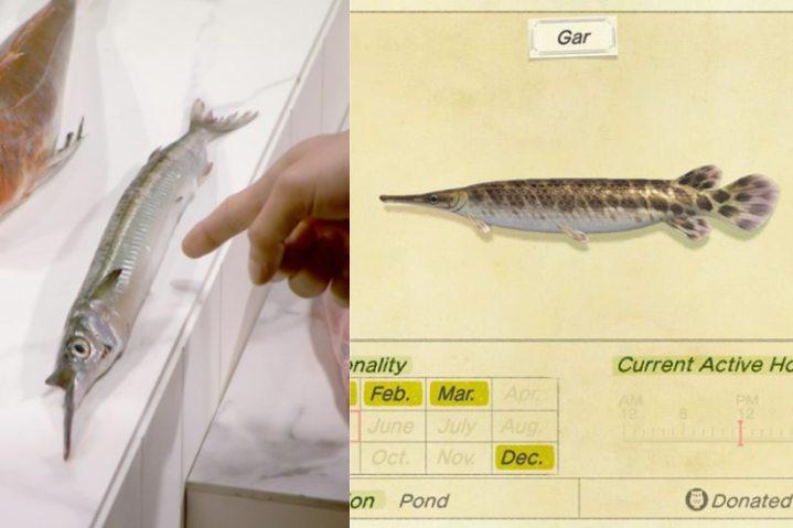 I Only Recognised The Fish In Last Night’s ‘MasterChef’ Ep ‘Cos ‘Animal Crossing’ Is Life Now
