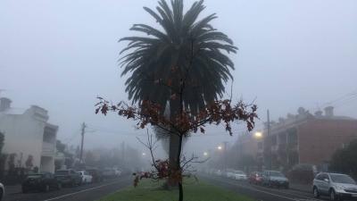 Melbourne Woke Up To A ‘Silent Hill’ Category Of Heavy Fog This Morning, Which Is Fine