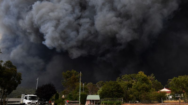 Nearly 450 People Died From That Godawful Bushfire Smoke Last Summer, Royal Commission Told