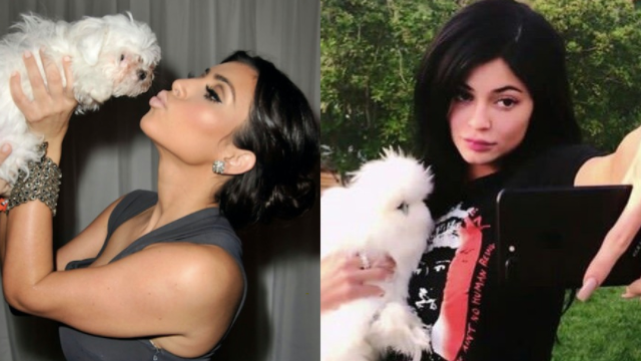 What The Fuck Happened To All The Kardashian / Jenner Pets? An Investigation