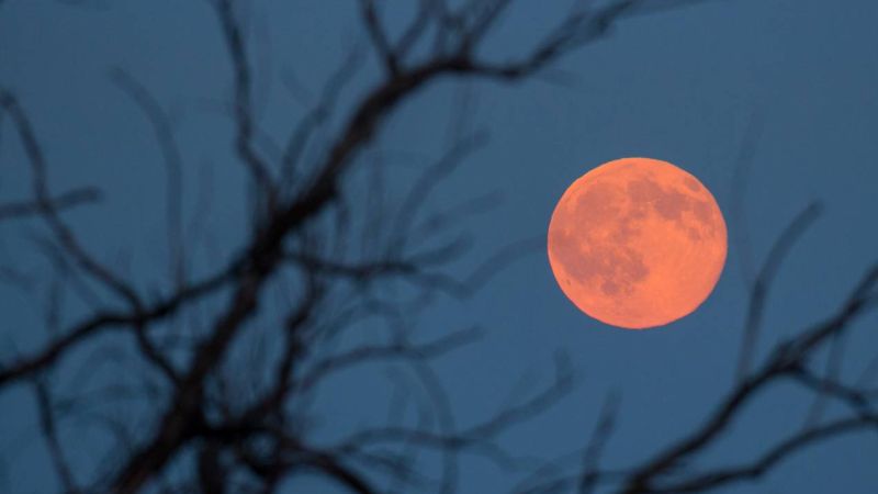 The Aussie Sky’s Turning It On This Weekend With An Extremely Beaut ‘Strawberry Moon’