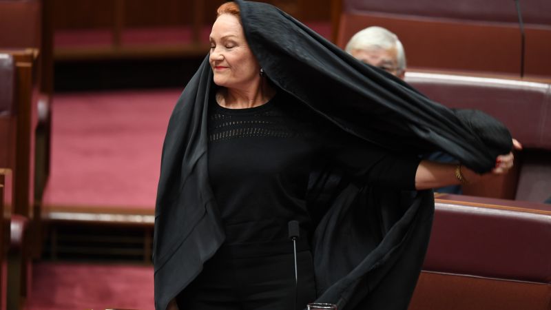 Of Fucking Course Captain Racist Pauline Hanson Is Pushing An “All Lives Matter” Vote In The Senate