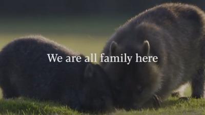 A New Tasmania Tourism Ad Legit Uses The Line “We’re All Family Here” & Oh Fuck Me Rigid, No